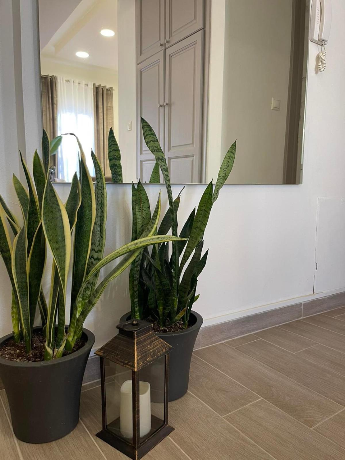 Appartement Andromachi 2 à Vólos Extérieur photo